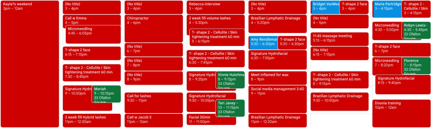 The Skin and Body Beauty and Spa fully booked calendar proof